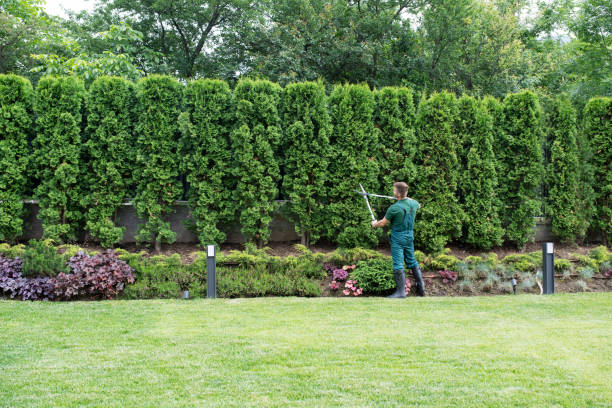 Best Lawn Mowing  in Upper Montclair, NJ